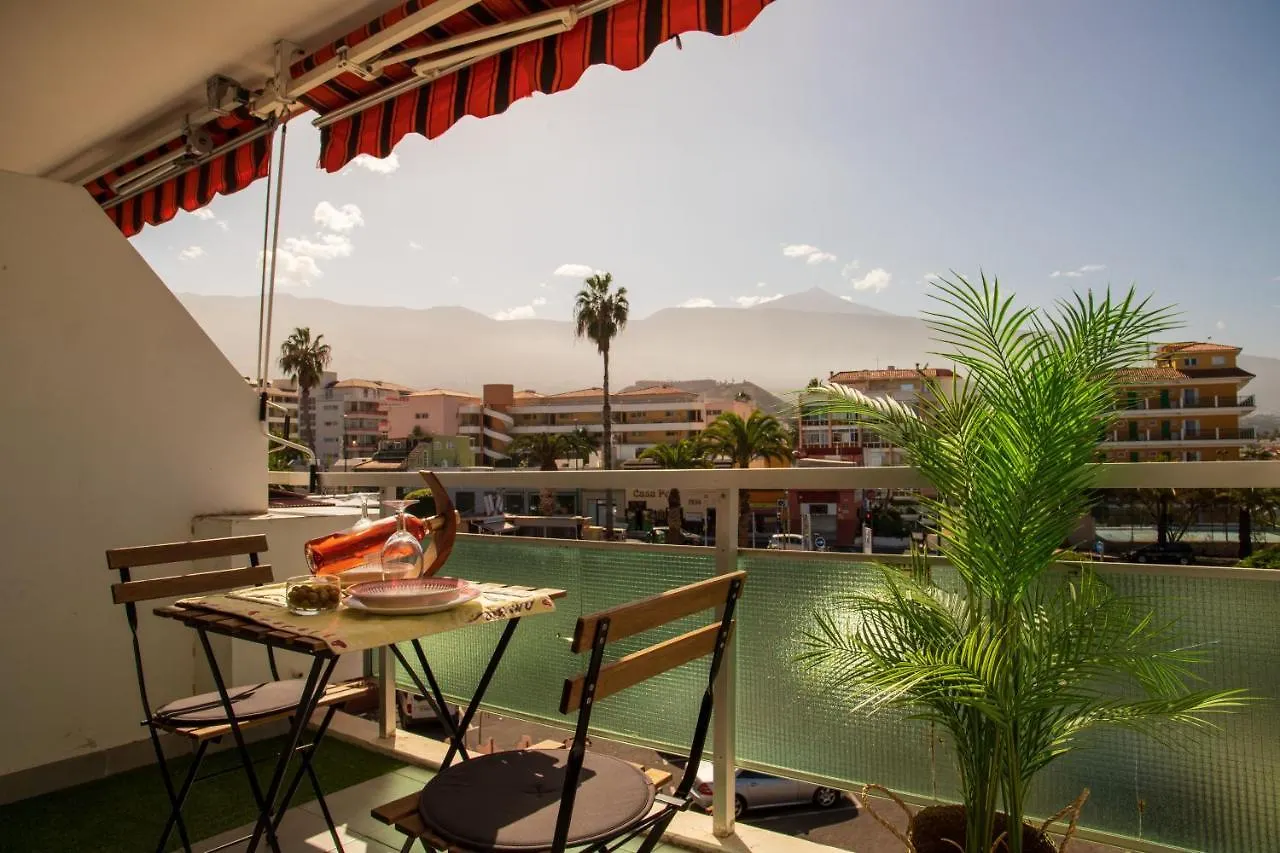 Agave Paradise location